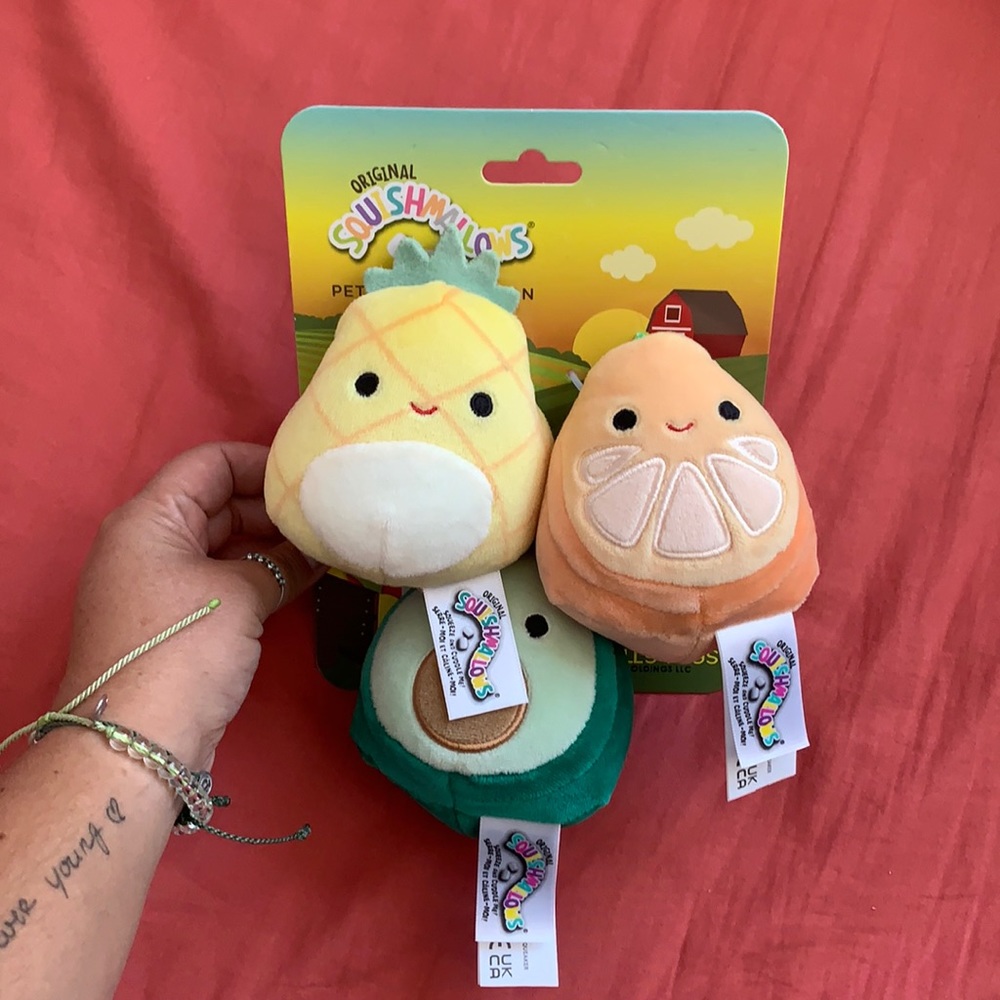 Squishmallow Pet Toy - Fruit